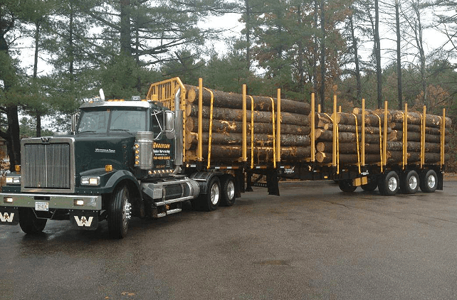 Massachusetts logging company